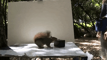 GIF by University of California