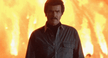 Looking On Fire GIF