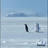 The Mountain Penguin GIF by Pudgy Penguins