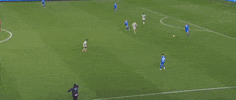 Parisi GIF