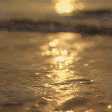 Kriti Sanon GIF by Pepe Jeans India