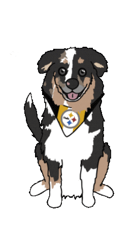 Pittsburgh Steelers Dog Sticker