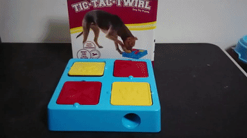 Howto Dogtoy GIF