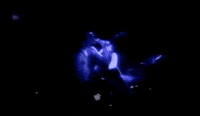 Love Of My Life Queen Gif Find Share On Giphy
