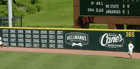 North Carolina Baseball GIF by NCAA Championships
