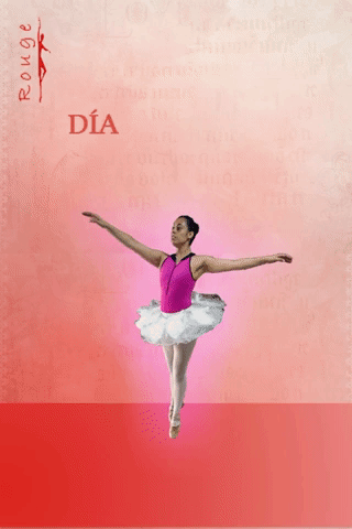 Ballet Ballerina GIF