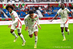 Memo Sudan GIF