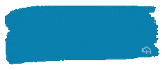 Paint Capecoral Sticker by Cook Homes