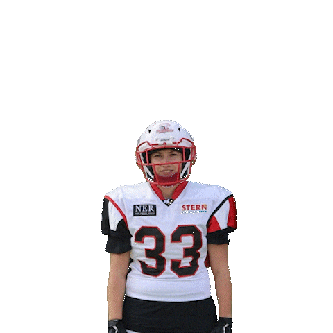 Scorpions Sisters Sticker