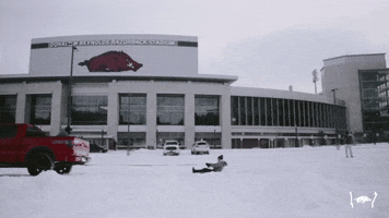 Sledding Snow Day GIF by Arkansas Razorbacks