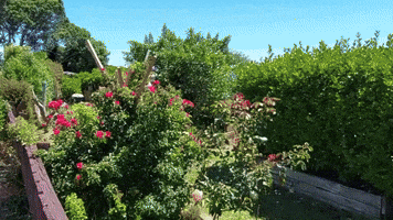 Castles GIF