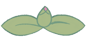 Flower New Post Sticker