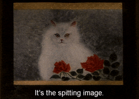 200.gif?cid=fc005b081b1aabcac969e2f567486c2390e11dac1e47b36a&rid=200.gif&ct=g