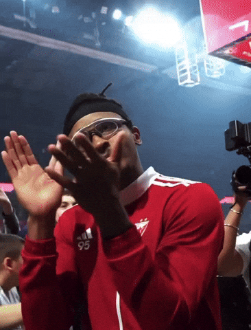 Crvena Zvezda GIF