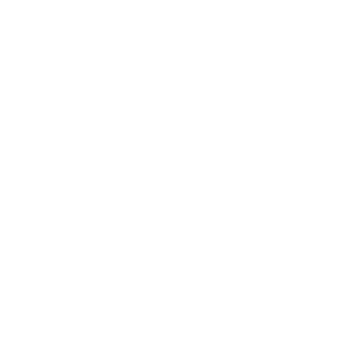 Real Club Náutico de Valencia Sticker