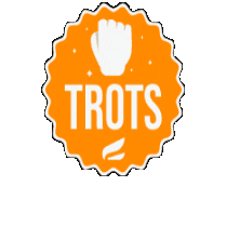 CSE Topsportacademie Sticker