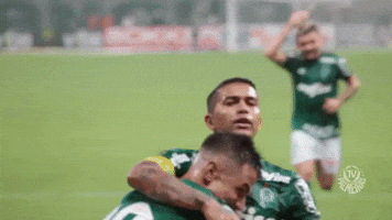 friends hug GIF by SE Palmeiras