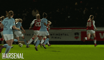 celebrate arsenal ladies GIF by Arsenal