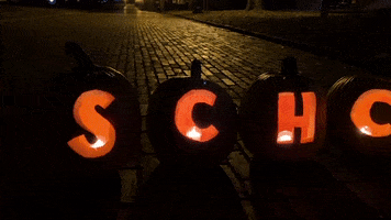 Halloween Night GIF by South Carolina Honors College