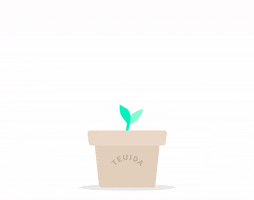Plant Grow GIF by Teuida