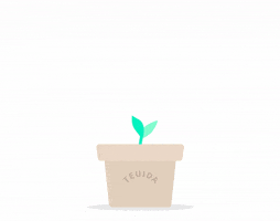 Plant Grow GIF by Teuida