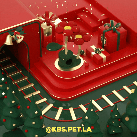 Merry Christmas GIF by KBSPETS