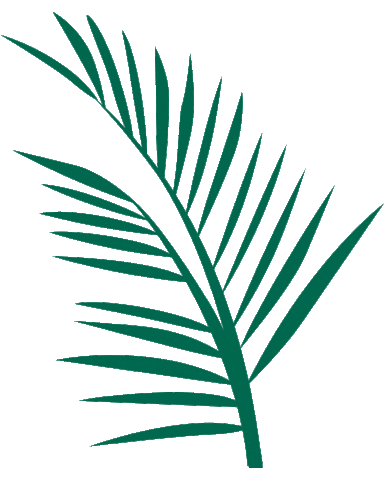 Diversa Turismo Sticker