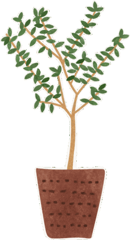 Olive Tree Greenery Sticker
