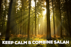 Vric GIF by Valley Ranch Islamic Center