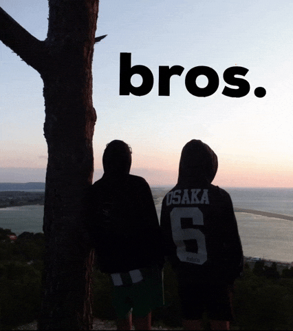 Bros GIF