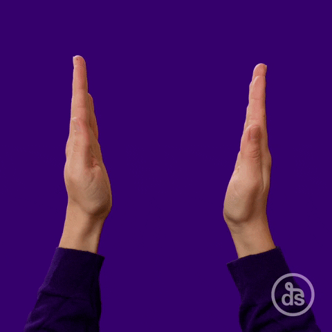 Football Nfl GIF by dschwen