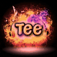 Tee GIF by Gallery.fm