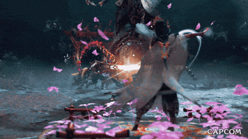 Protect Video Game GIF by CAPCOM