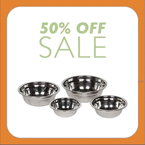 Dog GIF by Unleashed Life