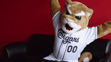 Minor League Baseball Ozzie T Cougar GIF by Kane County Cougars
