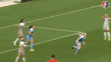 chicago red stars hug GIF by National Women's Soccer League