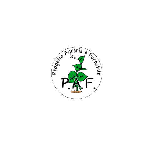 Funghi Ife Sticker by Pietro_Cal