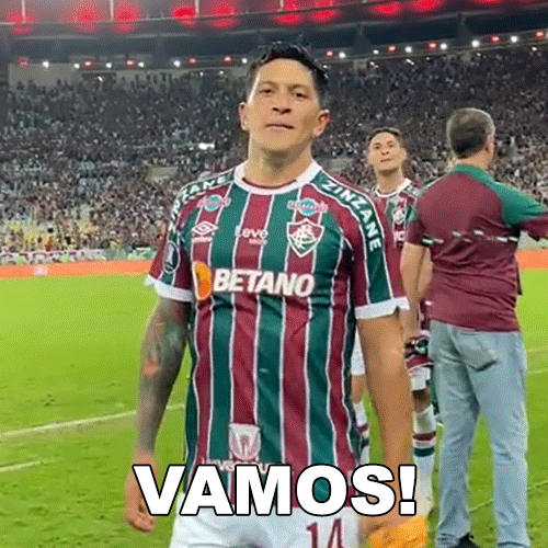 Sport Soccer GIF by Fluminense Football Club