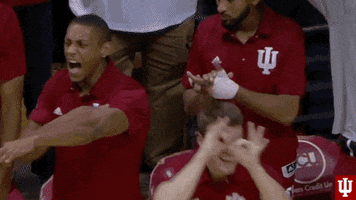 See College Sports GIF by Indiana Hoosiers