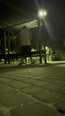 Drunk Book GIF