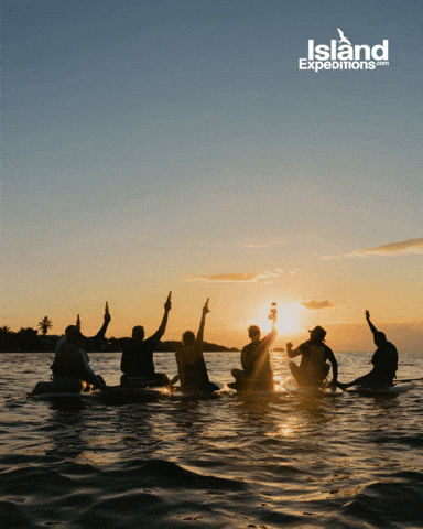 Belize GIF by Island Expeditions