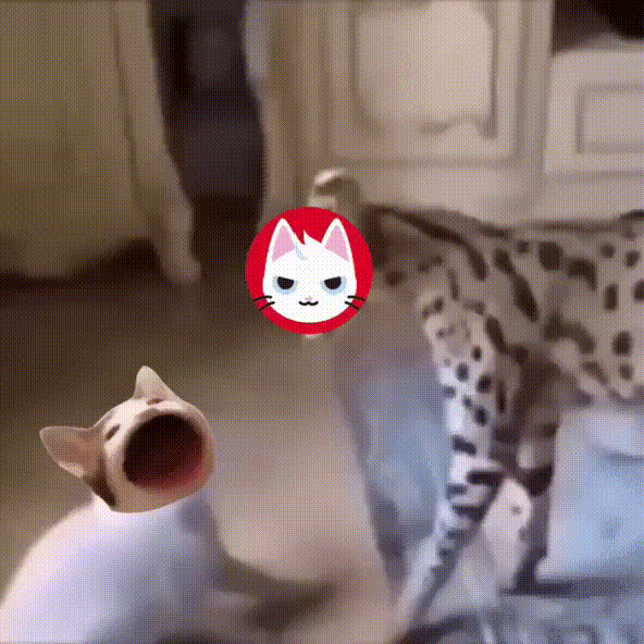 Animated GIF