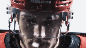 GIF by Charlotte Checkers
