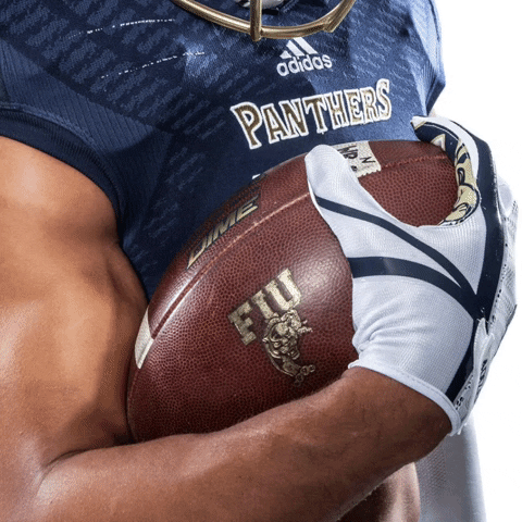 Football Gold GIF by FIU