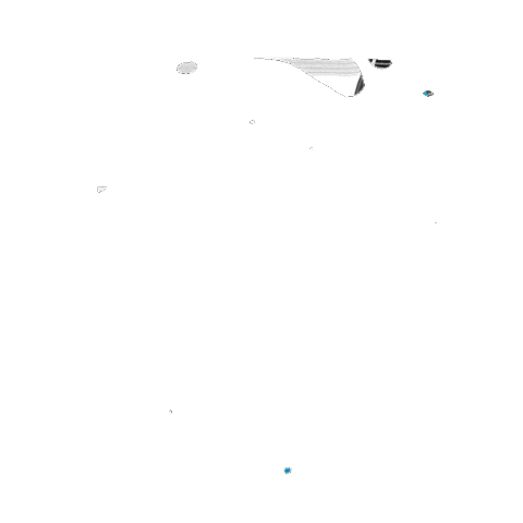 Ride Riding Sticker by ID Men's Biore