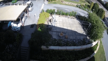 Themews Themewswestperth GIF