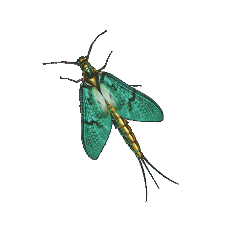 Sticker by brasseriemira