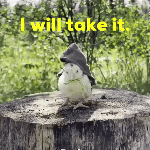 Lotr GIF
