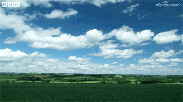 sky uk GIF by BBC Earth