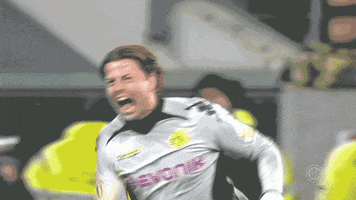 roman weidenfeller goal GIF by Borussia Dortmund